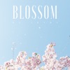 Blossom - Single