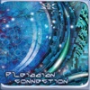 Pleiadian Connection