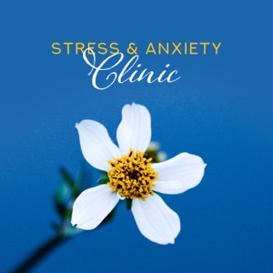 Stress & Anxiety Clinic: Nature Music for Better Relaxation, Meditation & Sleep