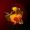 Phenix (Ucha Remix) - Valer den Bit lyrics