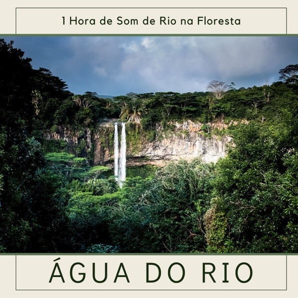 Água do Rio - 1 Hora de Som de Rio na Floresta, Relaxamento e Bem Estar