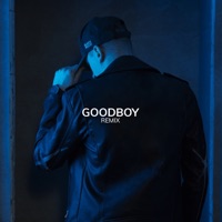 Goodboy (Remix) - Single - Fosco Alma