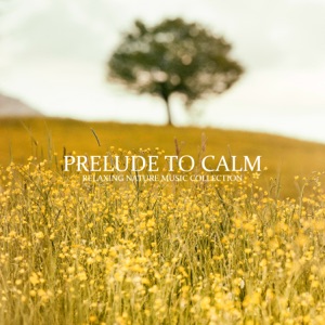 Prelude to Calm: Relaxing Nature Music Collection