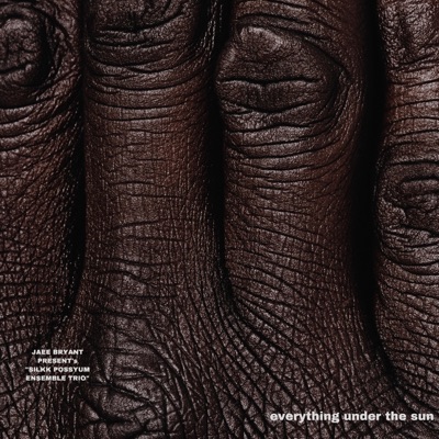 Jaee Bryant Present's Silkk Possyum Ensemble Trio: Everything Under the Sun - EP