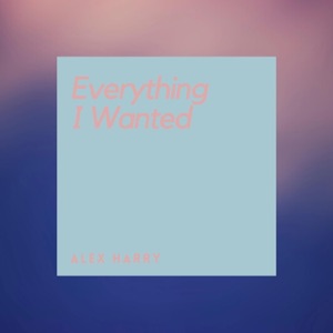 Everything I Wanted - Single