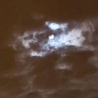 Longer Nights - Single - Hero