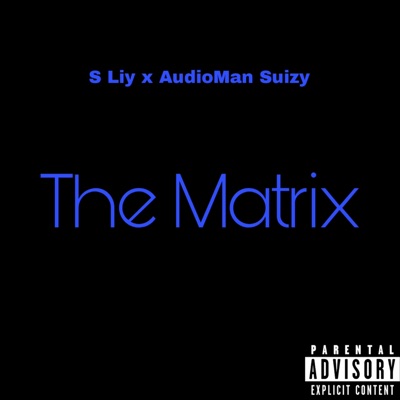The Matrix (feat. S Liy) - Single