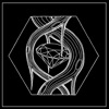 Sublab - Your Hands