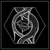 Sublab - Your Hands