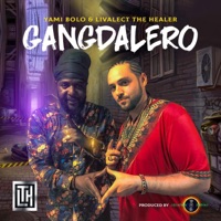 Gangdolero (feat. Yami Bolo) - Single - Livalect the Healer