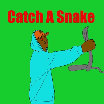 Catch a Snake (feat. Galaxxi) - Single