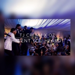 Haven't You Heard? (feat. OZ or O) - Single