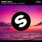 Chase The Sun (WILL K Extended Remix) - Danny Avila lyrics