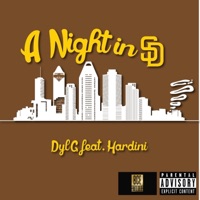 A Night in SD (feat. Hardini) - Single - Dylg