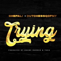 Trying (feat. Dutchessqony) - Single - Shefali