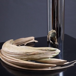 Anamorphosis jabeau