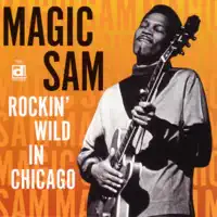Looking Good — Magic Sam