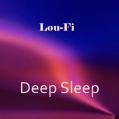 Deep Sleep (Instrumental) artwork