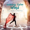 Didier Caron Jazz Acide Sahara Calm Wind: The Asian Collection