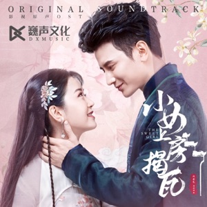 小女上房揭瓦 (影视剧原声带) - Single