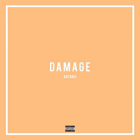 Cover artwork for Damage
