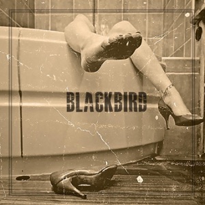 Blackbird