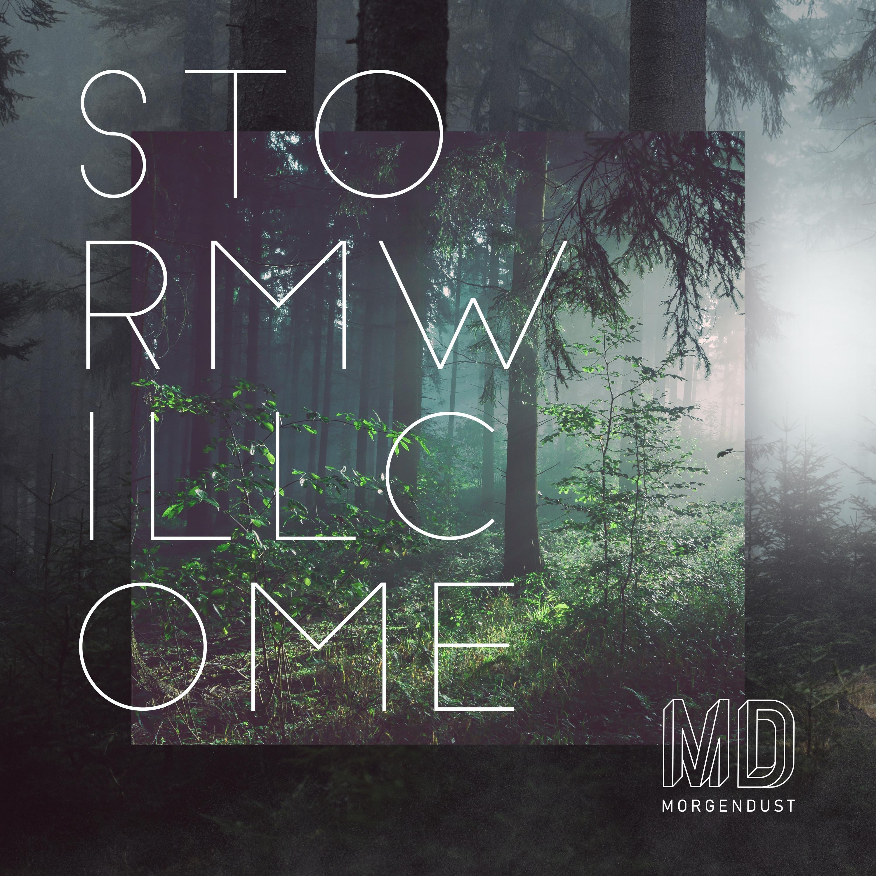 Storm Will Come - EP