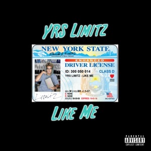 Like Me - Single