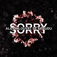 Sorry, ale omlouvat se nebudu - Single - Justin Case