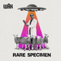 Rare Specimen - Single - Wax