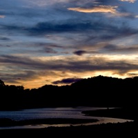 Sí (Always there for me) [feat. Amor Reluciente & Nada Tutto] - Single - Nosara Jungle Jams