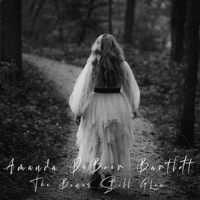 The Bones Still Glow - Single - Amanda Deboer Bartlett