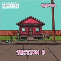 Section 8 - KASPER