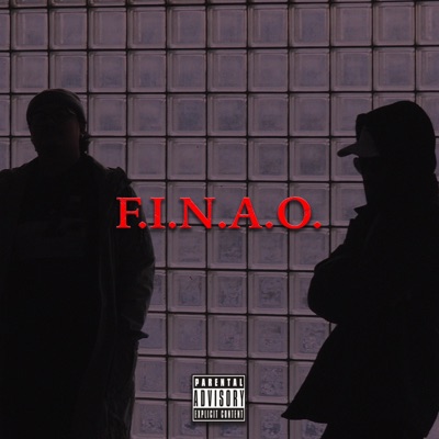 F.I.N.A.O.
