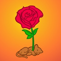 Rosy Days - Single - Peter Ngqibs