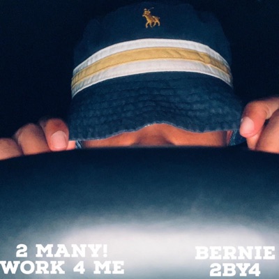 Bernie 2By4 - Single