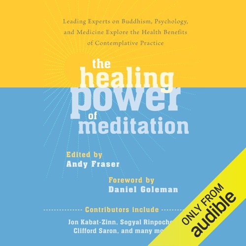 The Healing Power of Meditation: Leading Experts on Buddhism, Psychology, and Medicine Explore the Health Benefits of Contemplative Practice (Unabridged) cover