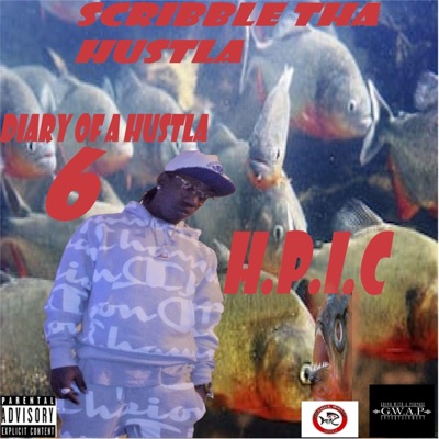 Diary of a Hustla 6 H.P.I.C