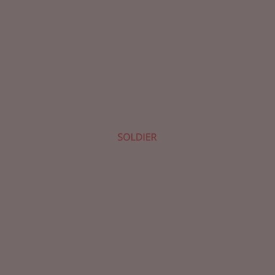 Soldier - Single