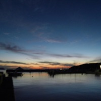 Vita - Single - Nvrluv