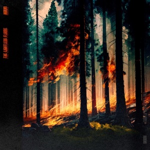 The Lightless Flame - Single