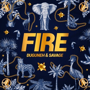 Duguneh & Savage - Fire - Line Dance Musique
