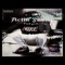 Quick Understanding (feat. Stf Chef) - Paid Josh lyrics