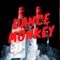Dance Monkey - Frae DJ lyrics
