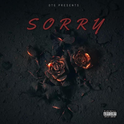 Sorry (feat. Sunnik, STiCK & Huncho Carter) - Single