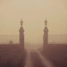 Dengarkan Emre Aracı, tonton video musik, baca bio, lihat tanggal tur & lainnya!