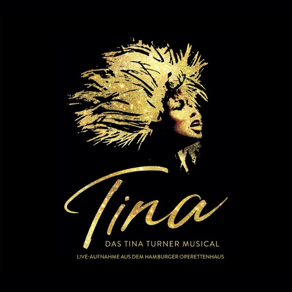 TINA TURNER WHAT'S LOVE GOT TO DO WITH IT