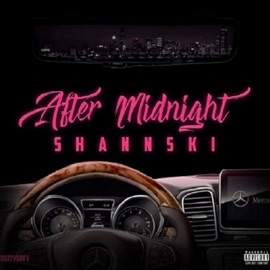 Wanna Go (feat. Jiggy Lauren) Shannski