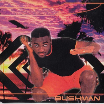 No 1 Else (Radio Mix) - Bushman | Shazam