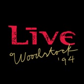 Woodstock ’94 (Live) artwork